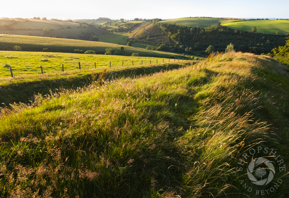 A step back in time along Offa's Dyke