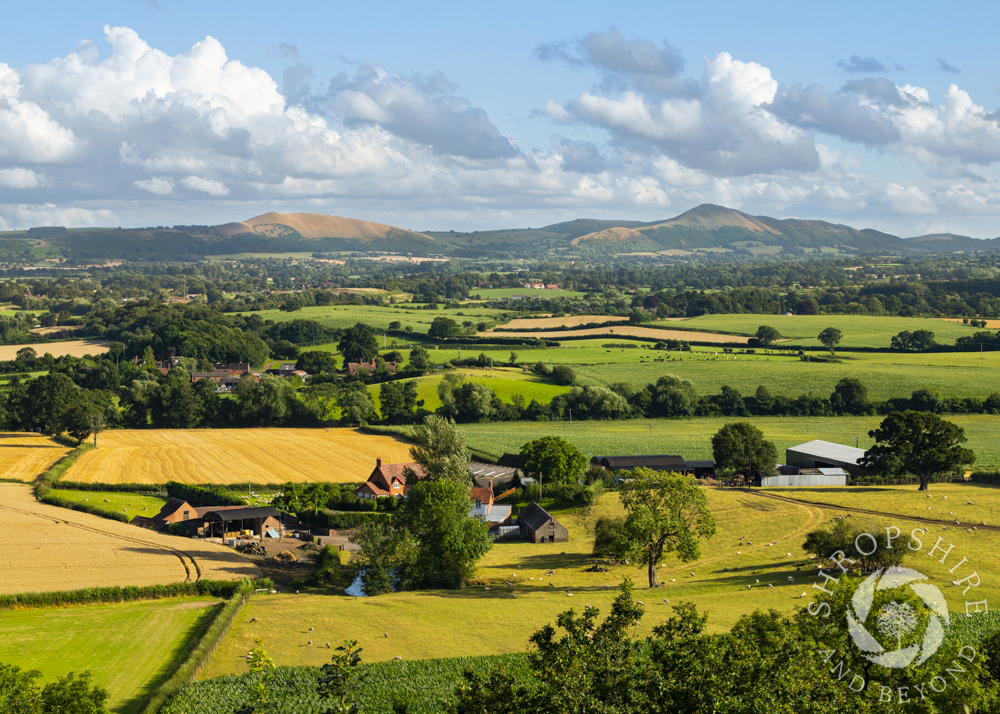Landscape that inspired novelist Mary Webb