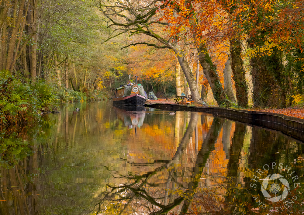 Autumn reflections in the Llangollen Canal