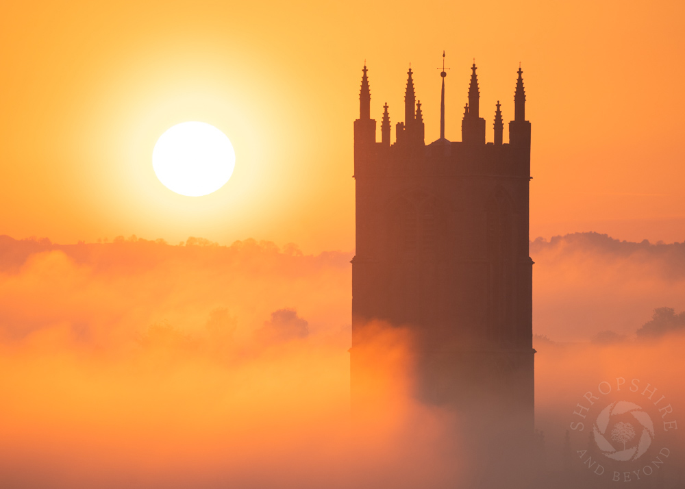 A look back at our best images from 2021