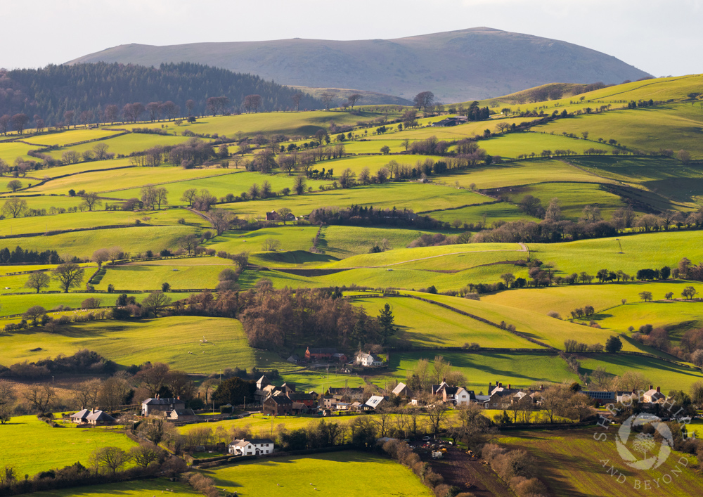 Tragic tale of the 'hurricane' family