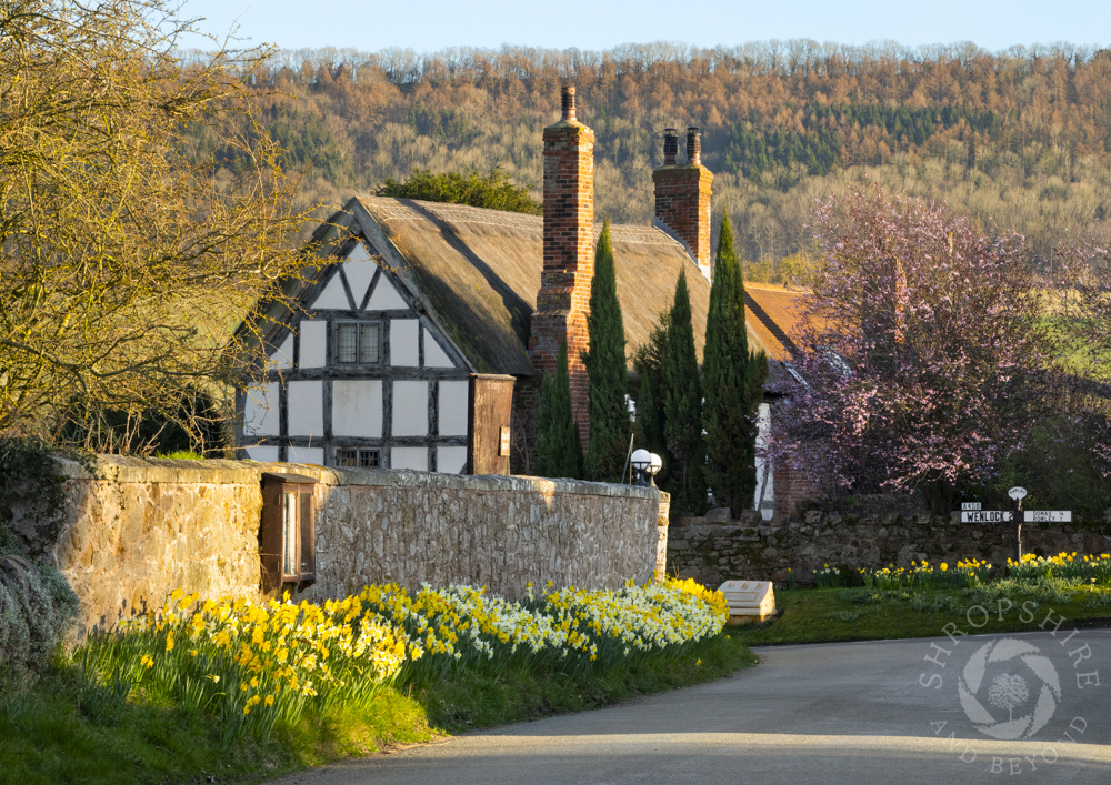 Springtime in the Thankful Village