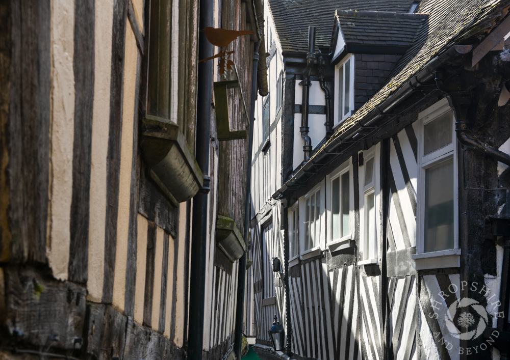 A walk into history down Grope Lane