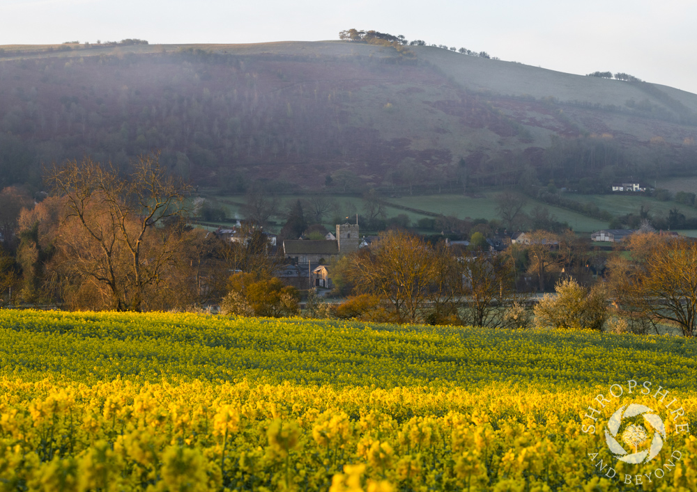 Mist and birdsong in the Clun Valley