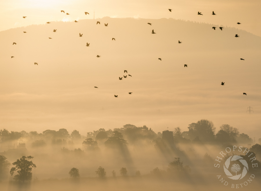 Mist over Shropshire