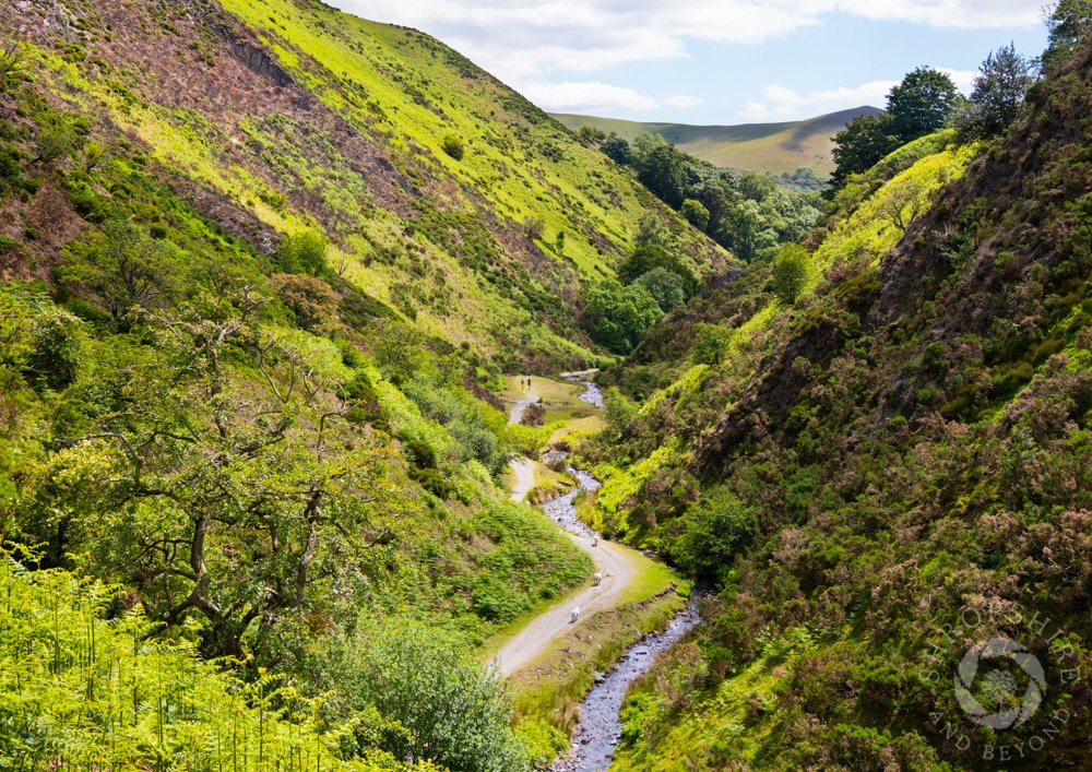 Call of the cuckoo in lovely Ashes Hollow