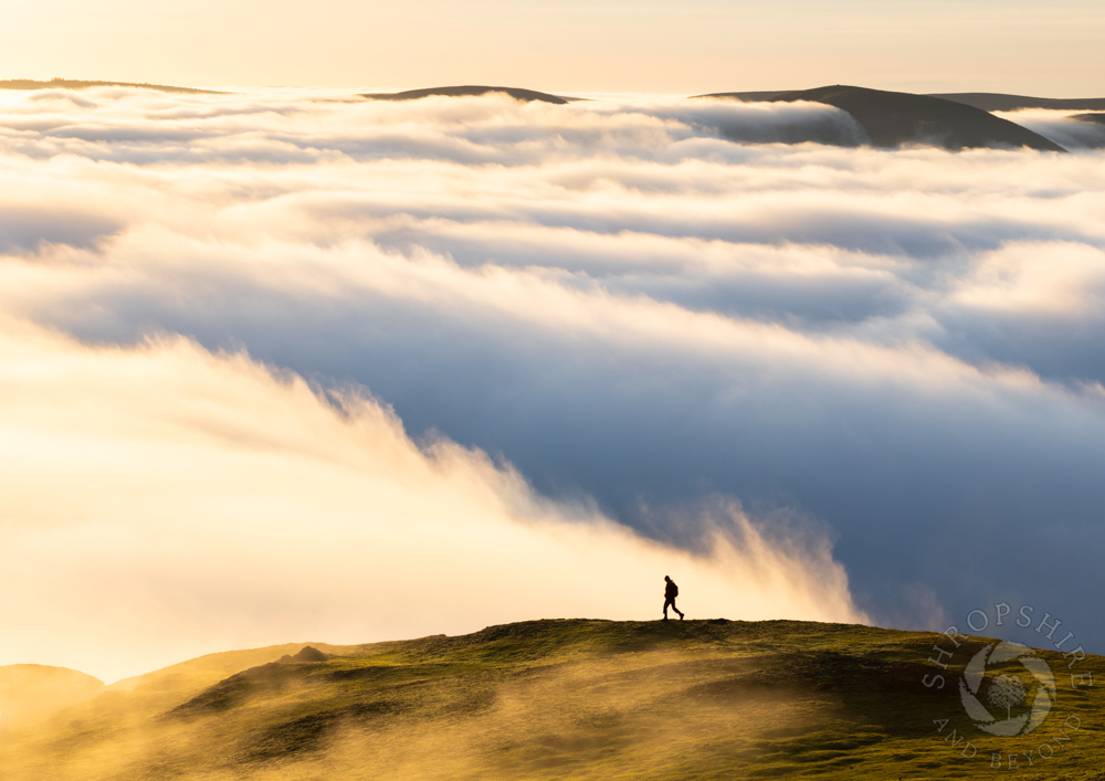 A walk on the wild side in the Stretton Hills