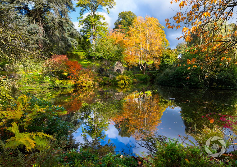 Beautiful autumn colours in the Dingle