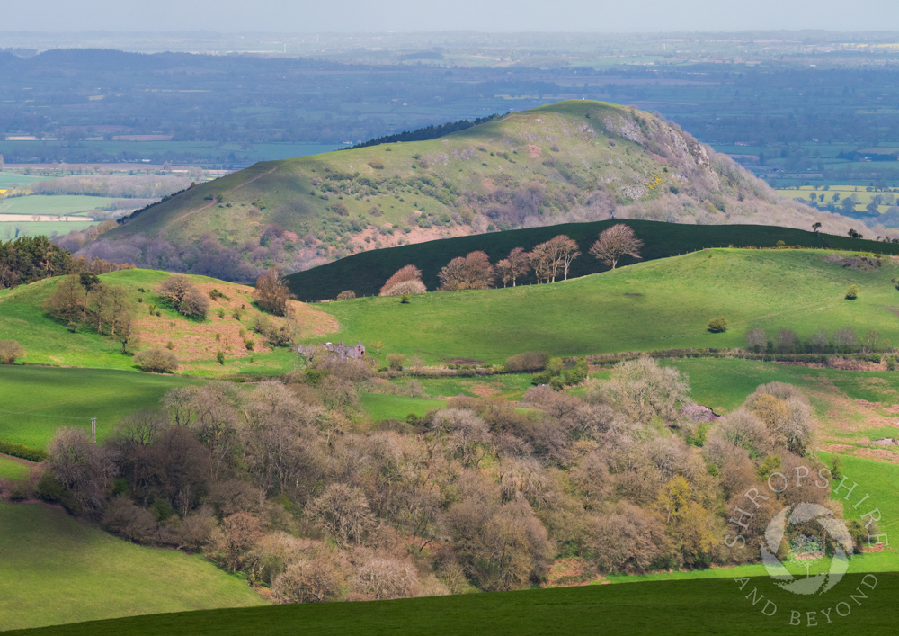 Waiting for the sunshine on Cothercott Hill