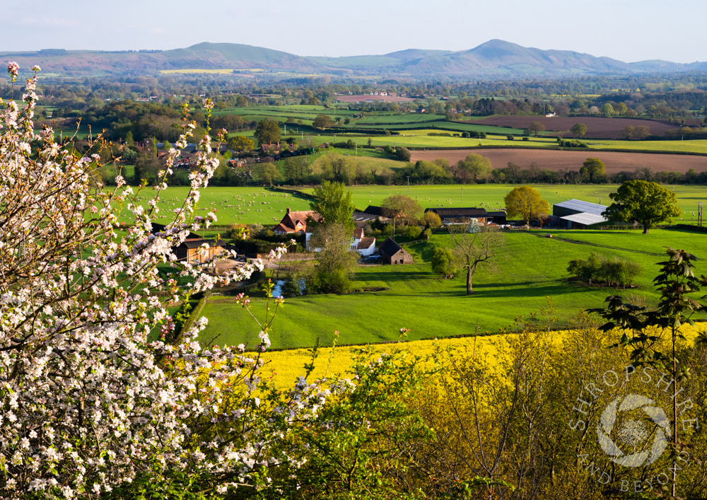 The view that inspired Shropshire's Mary Webb