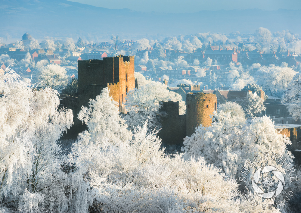 Picture countdown to Christmas in Shropshire