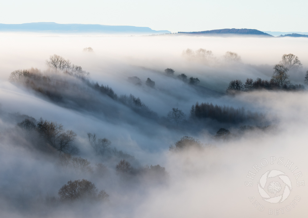 Silent wave of white in ethereal Corvedale