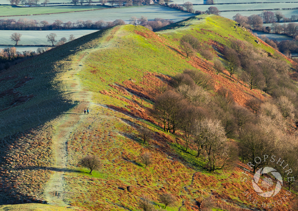 Early morning walk along the Lawley