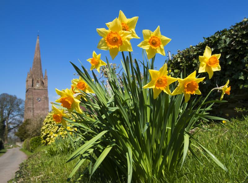 Weobley