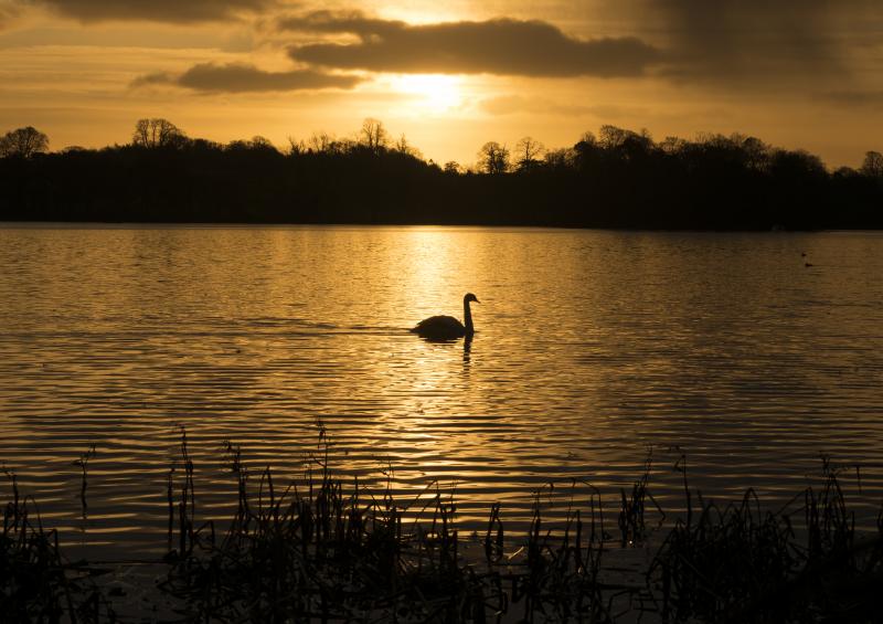 Ellesmere