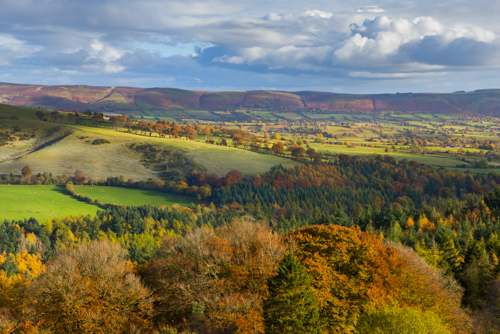 Heath Mynd