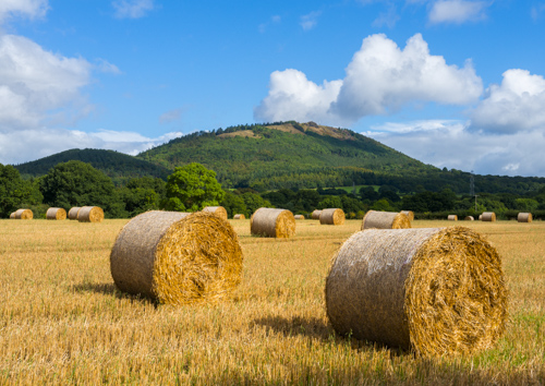 The Wrekin