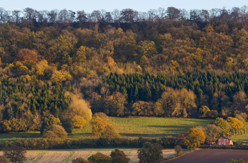 Wenlock Edge