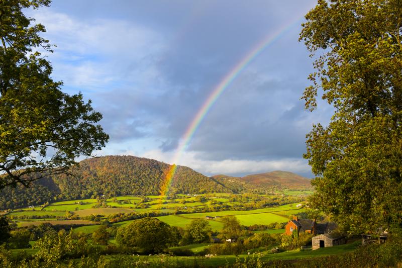 Breidden Hills