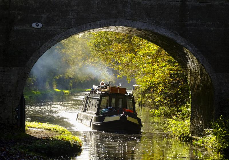 Brewood