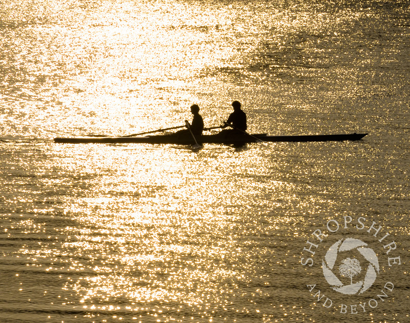 Rowers on the River Severn at sunset, Shrewsbury, Shropshire, England.