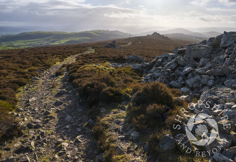 The view south along the Stiperstones ridge, looking towards Heath Mynd and Linley Hill, Shropshire.