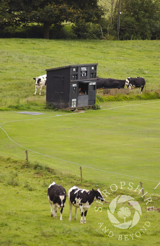 Welsh Frankton Cricket Club, Hardwick Hall, Shropshire, England