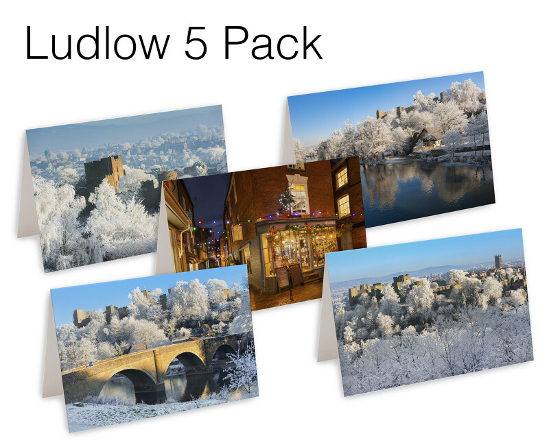 5 Ludlow Christmas Cards