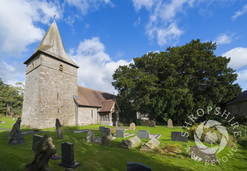 All Saints' Church at Norbury, Shropshire, with its 2,700 year old yew tree.