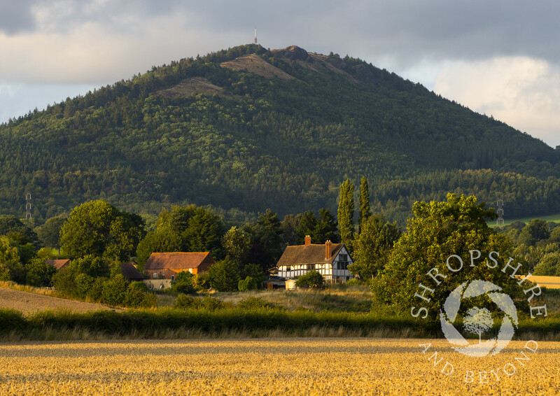 Evening light on the Wrekin, seen near Leighton, Shropshire.