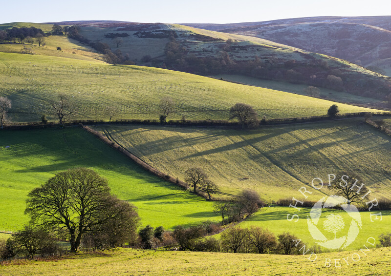 Early morning shadows across the Long Mynd, seen from Adstone Hill, Shropshire.