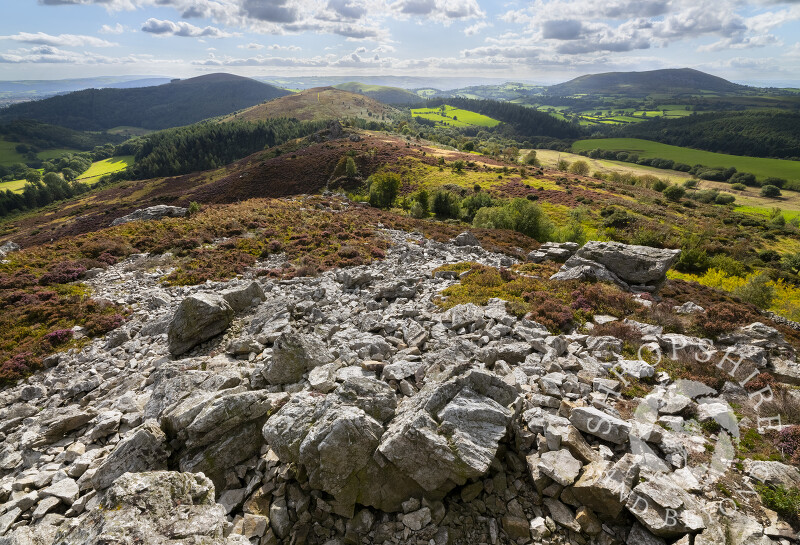 The view south from The Rock on the Stiperstones, Shropshire.