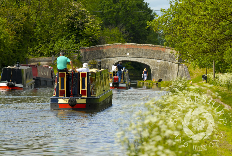 Narrowboats on the Shropshire Union Canal at Brewood, Staffordshire, England.