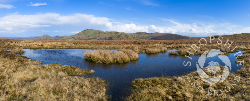 A panoramic view of a pool on the Long Mynd with Caer Caradoc and the Lawley, Shropshire.