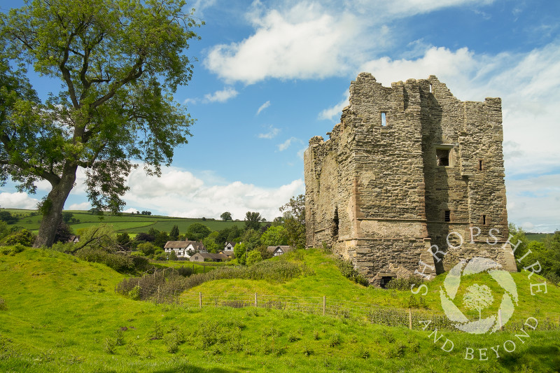 The ruins of medieval Hopton Castle in the village of Hopton Castle, Shropshire.