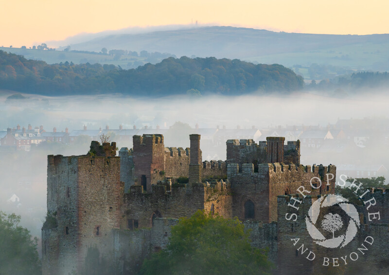 Misty autumn morning at Ludlow Castle, Shropshire.