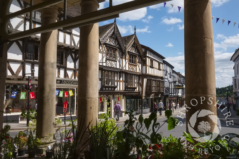 Flowers and plants for sale in Broad Street, Ludlow, Shropshire.