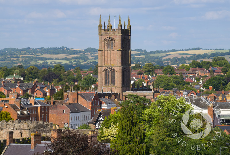 The tower of St Laurence's Church, Ludlow, seen from Whitcliffe Common, Shropshire.