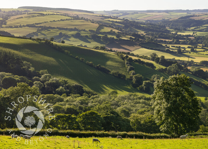 The Clun Valley, seen near Bettws y Crwyn, in south Shropshire.