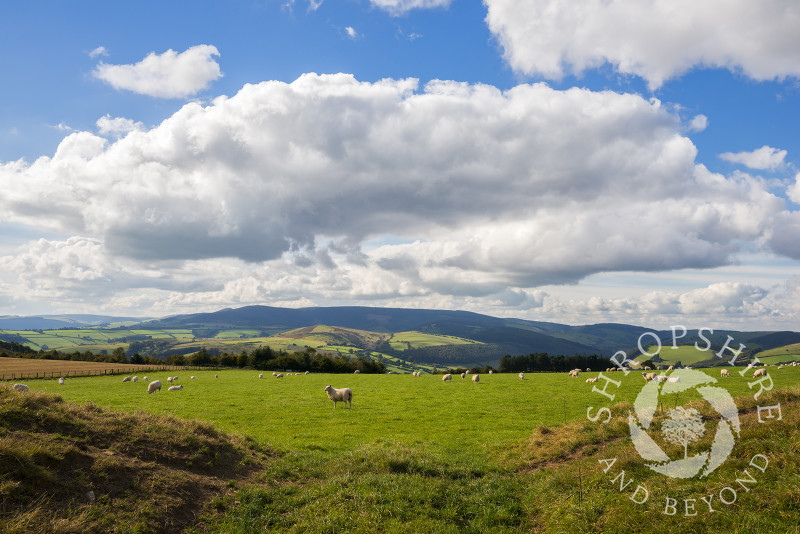The view from Offa's Dyke to Radnor Forest, near Knighton, Powys, Wales.