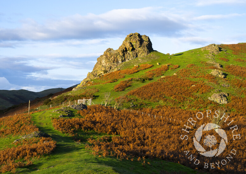 The Gaer Stone on Hope Bowdler Hill, Church Stretton, Shropshire.