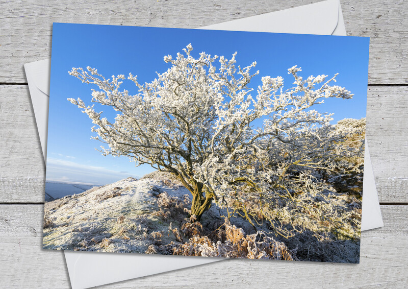 Hoar frost on Caer Caradoc, Redlake Valley, Shropshire.