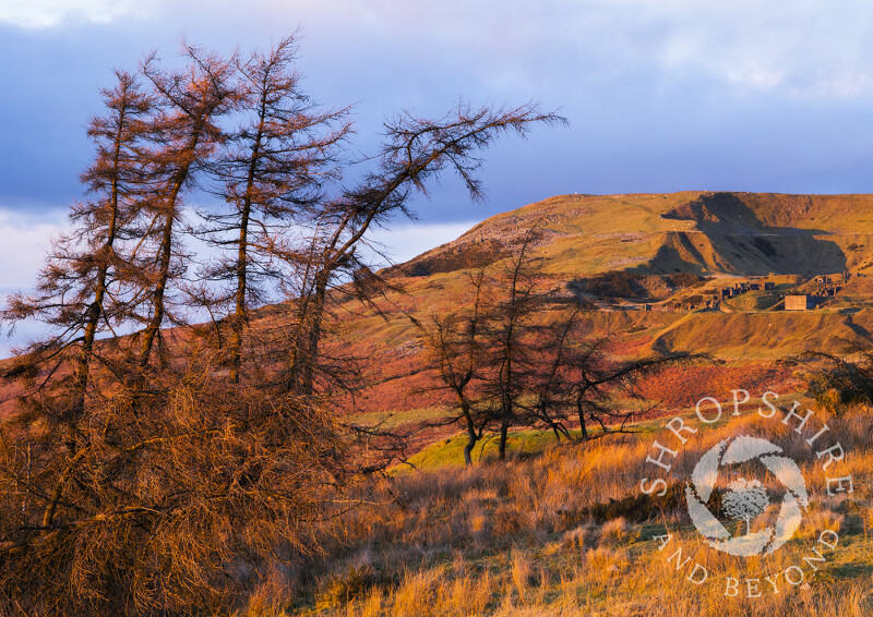 Winter sunlight on Titterstone Clee, Shropshire.