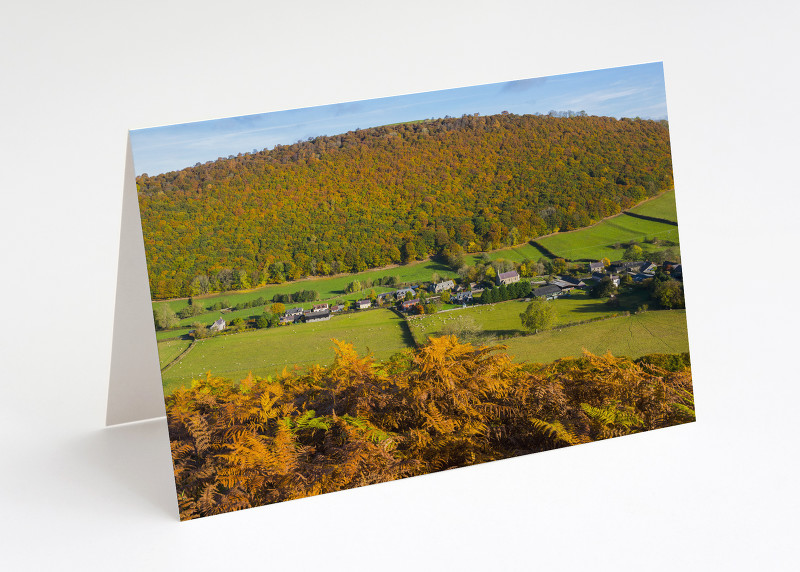 Autumn at Chapel Lawn, near Clun, Shropshire.