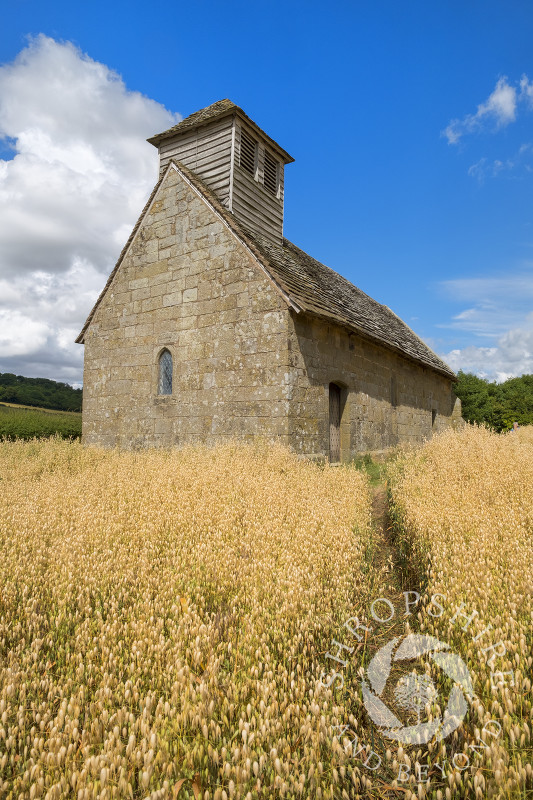 Langley Chapel in a corn field, Langley, Shropshire.