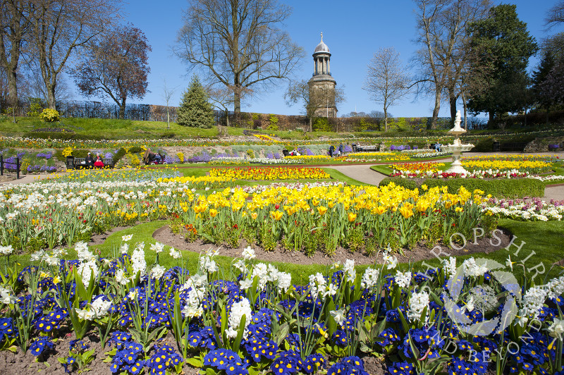 A carpet of flowers in the Dingle overlooked by St Chad's Church, Shrewsbury, Shropshire, England.