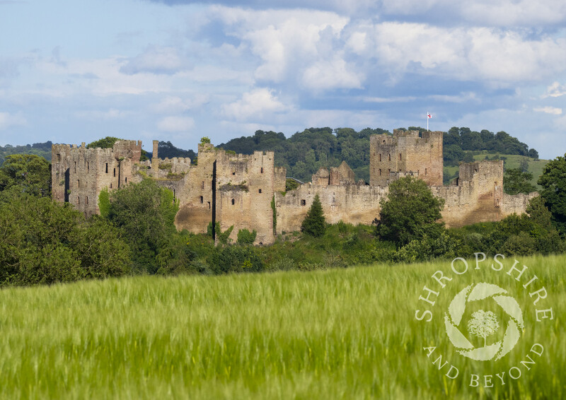 Ludlow Castle in Shropshire