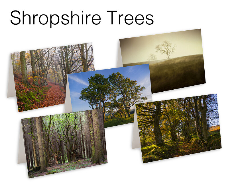 5 Shropshire Trees Greetings Cards
