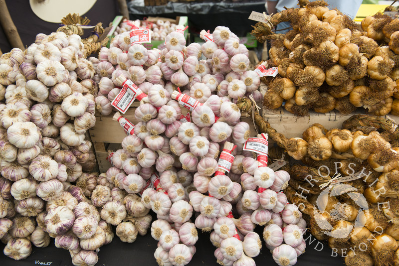 Garlic on sale at Ludlow Food Festival, Shropshire.