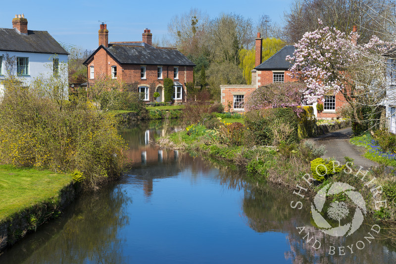 Spring colour along the River Arrow in Eardisland, Herefordshire, England.